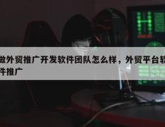 做外贸推广开发软件团队怎么样，外贸平台软件推广
