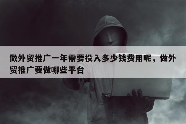 做外贸推广一年需要投入多少钱费用呢	，做外贸推广要做哪些平台
