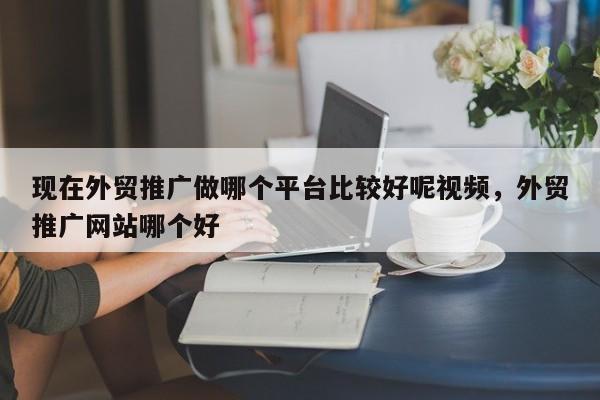 现在外贸推广做哪个平台比较好呢视频，外贸推广网站哪个好