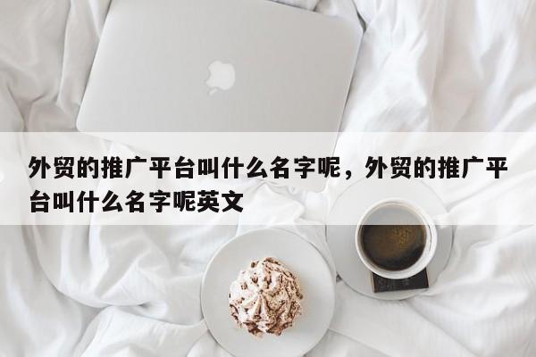 外贸的推广平台叫什么名字呢，外贸的推广平台叫什么名字呢英文