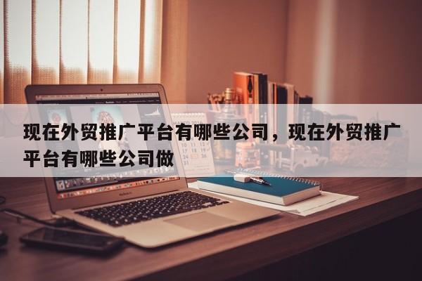 现在外贸推广平台有哪些公司	，现在外贸推广平台有哪些公司做