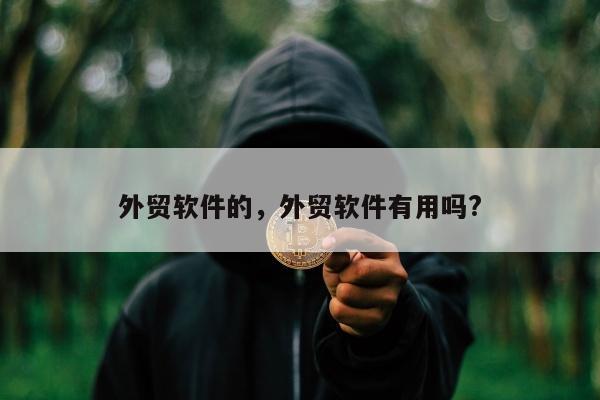 外贸软件的，外贸软件有用吗?