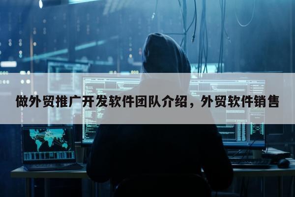 做外贸推广开发软件团队介绍	，外贸软件销售